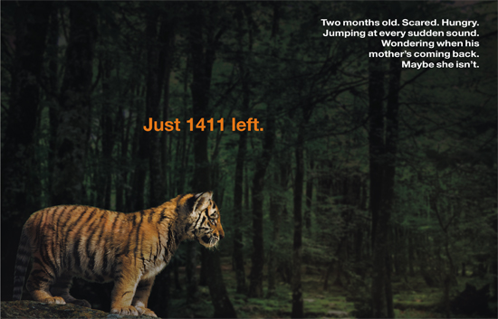 Save Tigers 1411